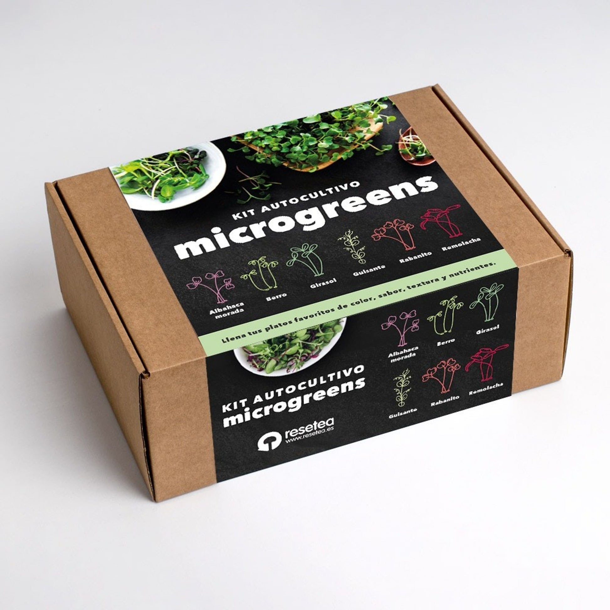 Microgreens – Dein Weg zu mehr Gesundheit - My good feeling