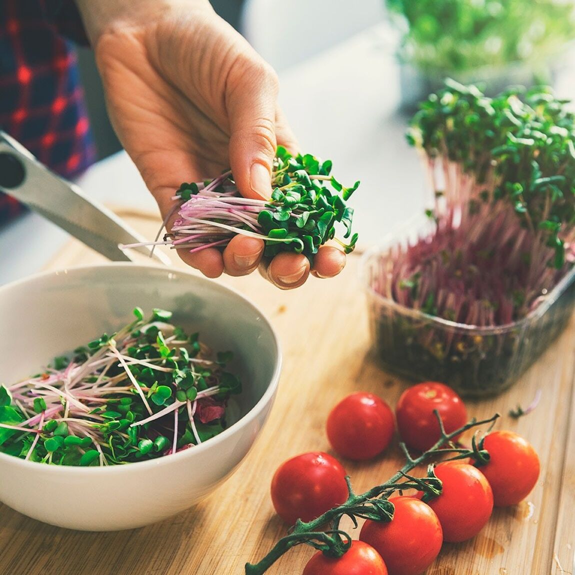 Microgreens – Dein Weg zu mehr Gesundheit - My good feeling