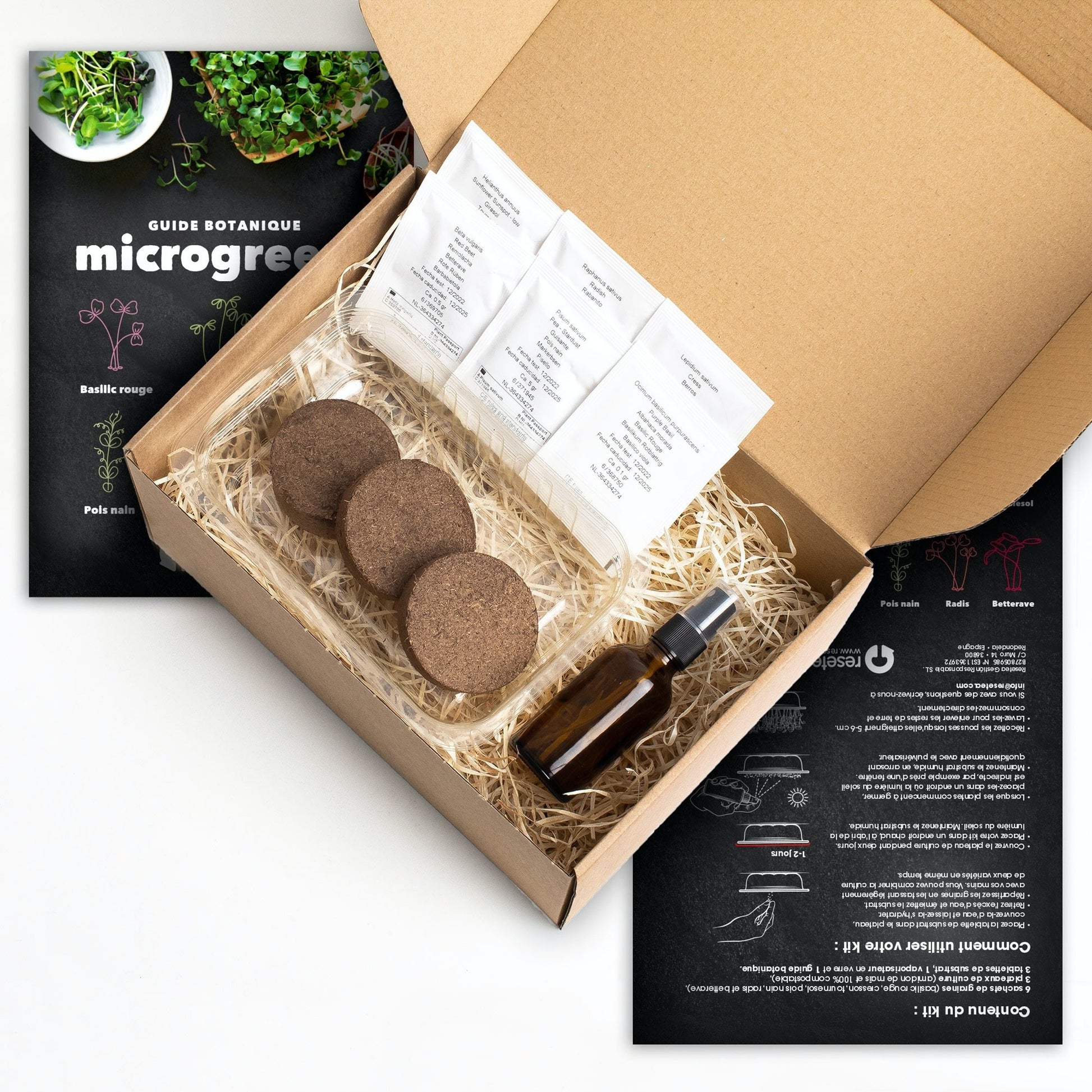 Microgreens – Dein Weg zu mehr Gesundheit - My good feeling