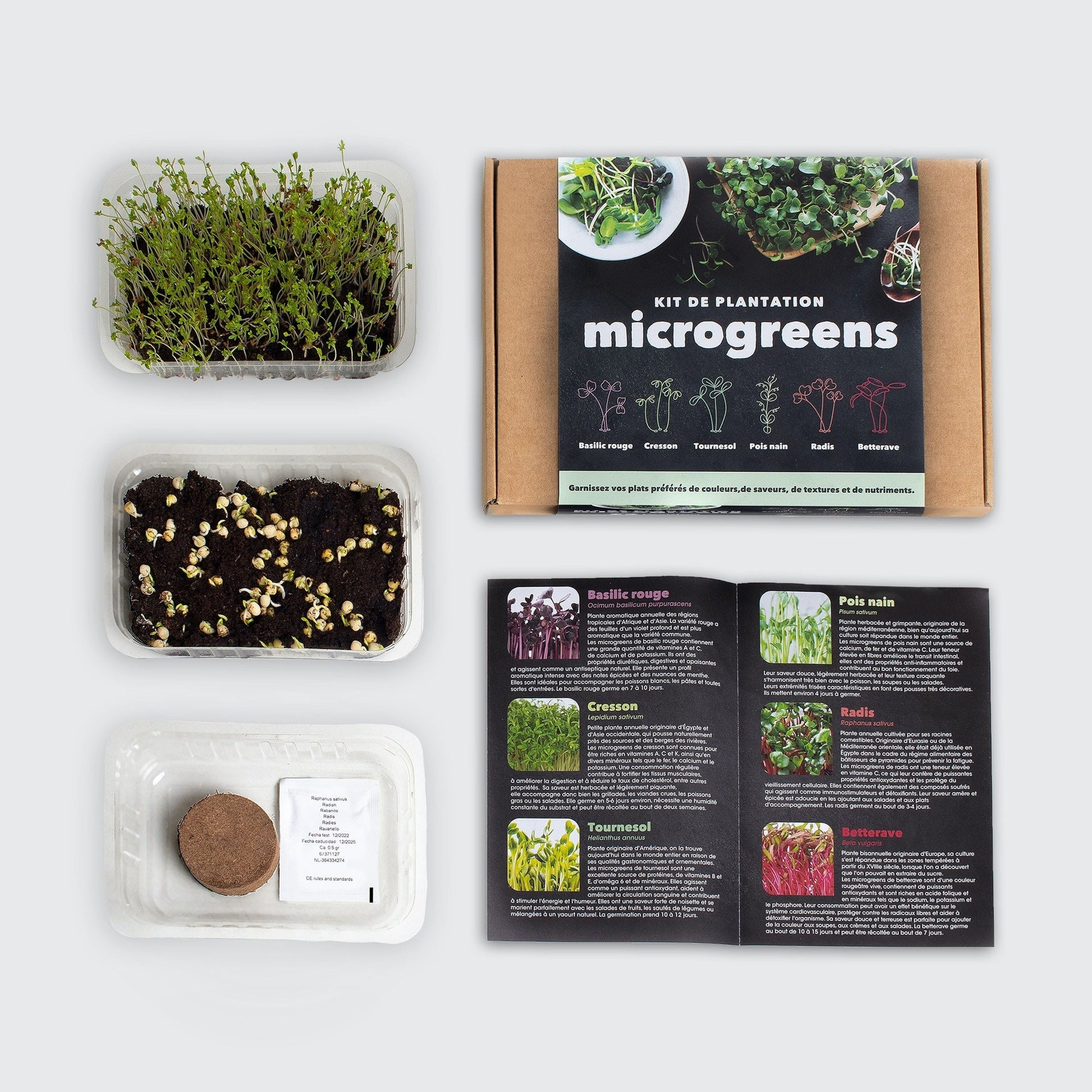 Microgreens – Dein Weg zu mehr Gesundheit - My good feeling