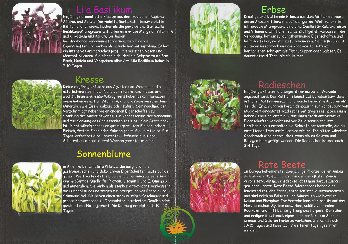 Microgreens – Dein Weg zu mehr Gesundheit - My good feeling