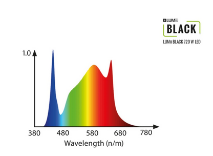 LUMii Black LED-Leuchte 720 W Set mit LUMii Black Vorschaltgerät - My good feeling