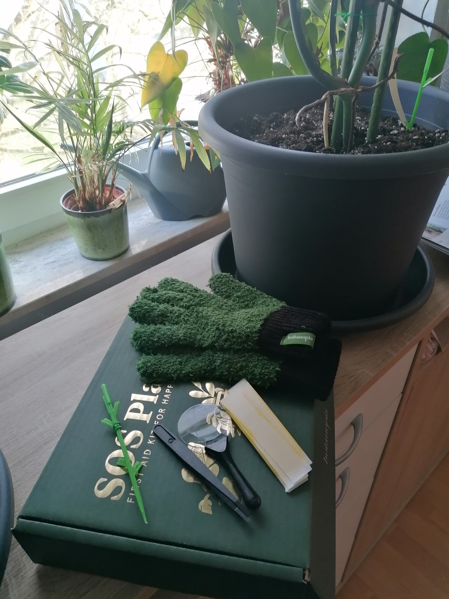 SOS Plant Kit – Complete set for plant care and plant protection with neem oil 🚑