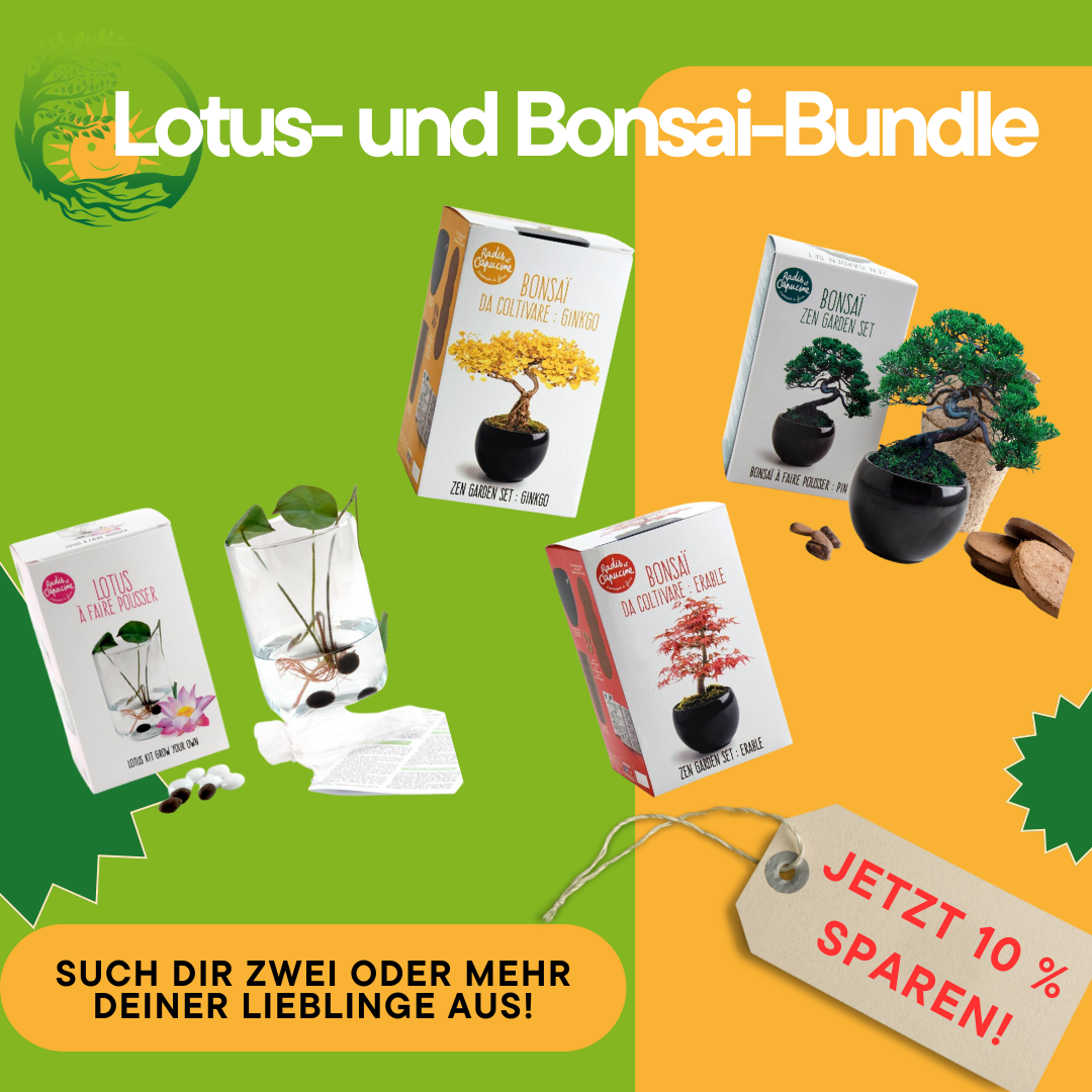 Lotus- und Bonsaianzuchtset-Bundle